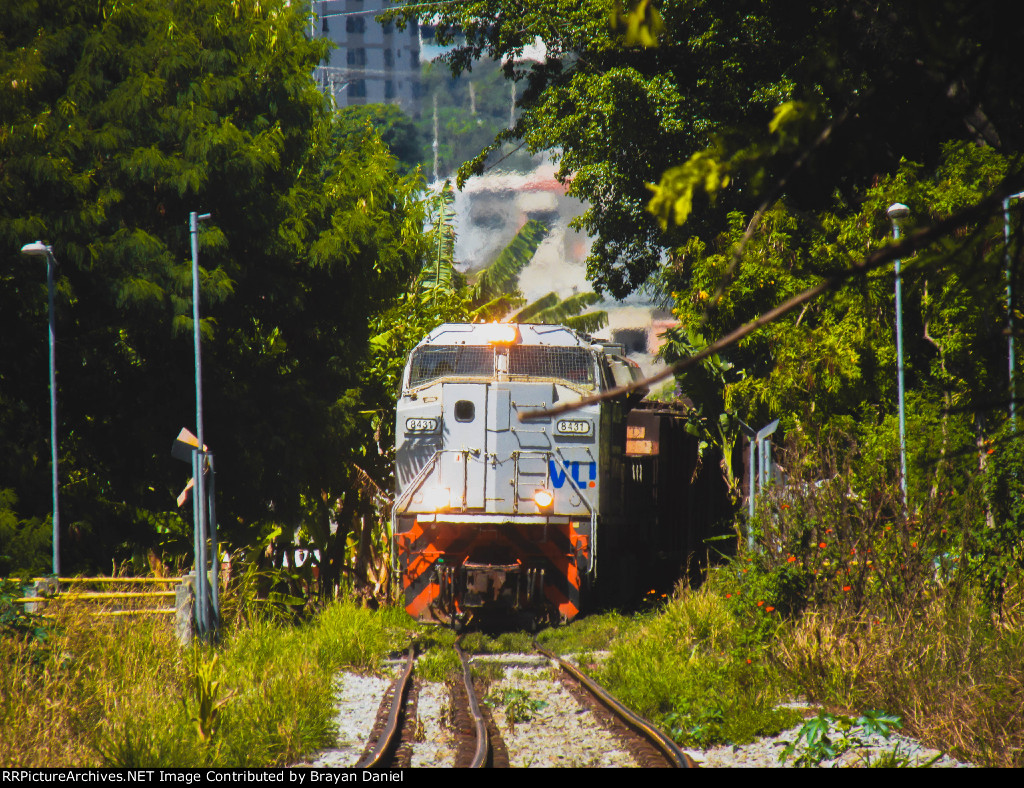 VLI 8431